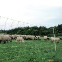 https://materiel-agricole.4mepro.com/17855-medium_default/filet-horinetz-avec-piquets-pour-chevres-et-moutons-90cm-50m-horizont.jpg